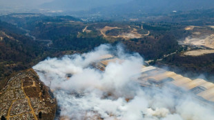 El Congreso de Guatemala bloquea el estado de calamidad por los incendios decretado por Arévalo