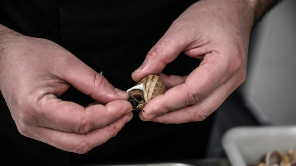  En Bourgogne, les &eacute;leveurs d'escargots "en premi&egrave;re ligne" du d&eacute;r&egrave;glement climatique 