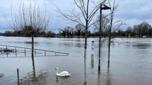 DLRG warnt vor Betreten von Eisflächen: Lebensgefahr auch in Überschwemmungsgebieten