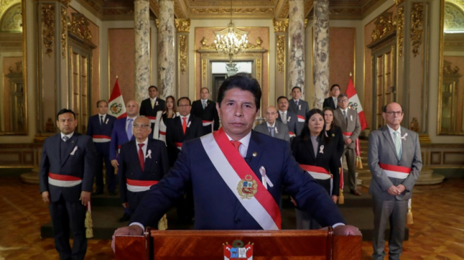 La OEA convoca una sesi&oacute;n extraordinaria a pedido de Per&uacute; por la crisis pol&iacute;tica