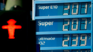 Germany targets oil firms to prevent wartime price gouging