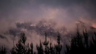 Australia offers reward for arrest of gunman after police killings