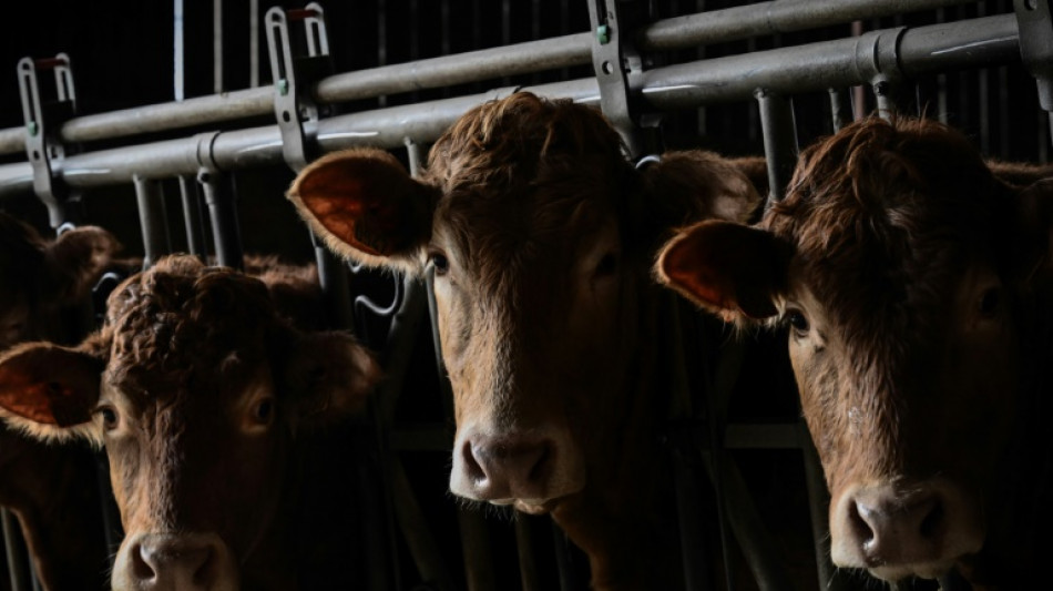 EU-Kommission stellt "Vision" f&uuml;r Landwirtschaft und Ern&auml;hrung vor