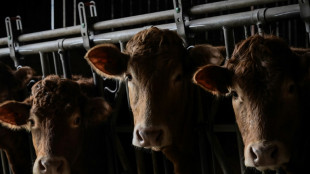 EU-Kommission stellt "Vision" f&uuml;r Landwirtschaft und Ern&auml;hrung vor