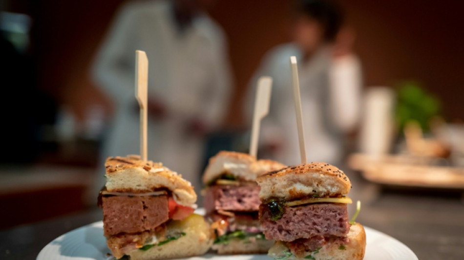  La UE aprueba la prohibici&oacute;n de la denominaci&oacute;n "carne vegetal" 
