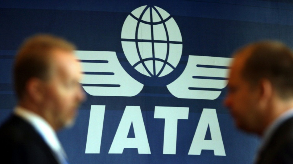 IATA registra recorde de tr&aacute;fego a&eacute;reo de passageiros em 2024