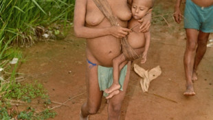 Governo anuncia presen&ccedil;a permanente de for&ccedil;as de seguran&ccedil;a para proteger yanomamis