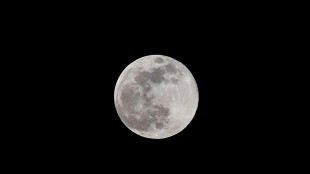 Nel cielo di novembre pianeti giganti e Superluna