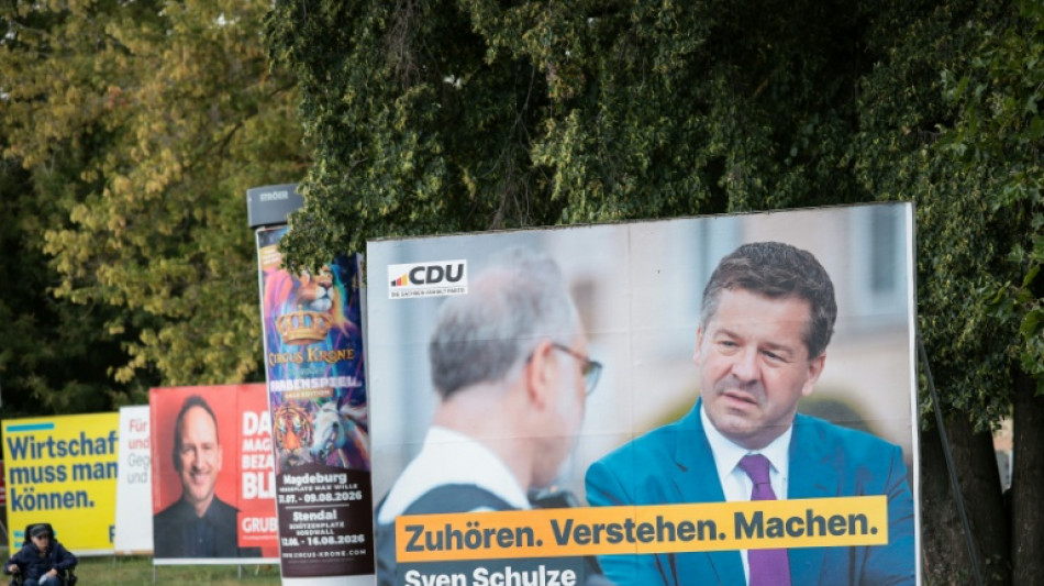  Sachsen-Anhalt: Schulze kritisiert AfD-Wahlaufruf von CDU-Politiker 