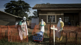 La epidemia de &eacute;bola en RDC termin&oacute; y otra evoluciona r&aacute;pidamente en Uganda, alerta la OMS