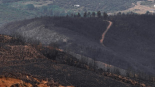 España da por finalizada la emergencia por la ola de incendios forestales