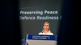 UE defende seu projeto de 'muro' antidrones frente à ameaça russa