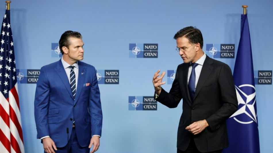Nato-Chef Rutte fordert Einbindung der Ukraine in m&ouml;gliche Friedensverhandlungen