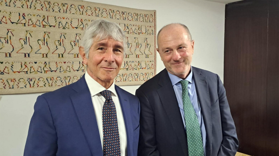 Binaghi, 'Coni da rifare, serve intervento della politica'