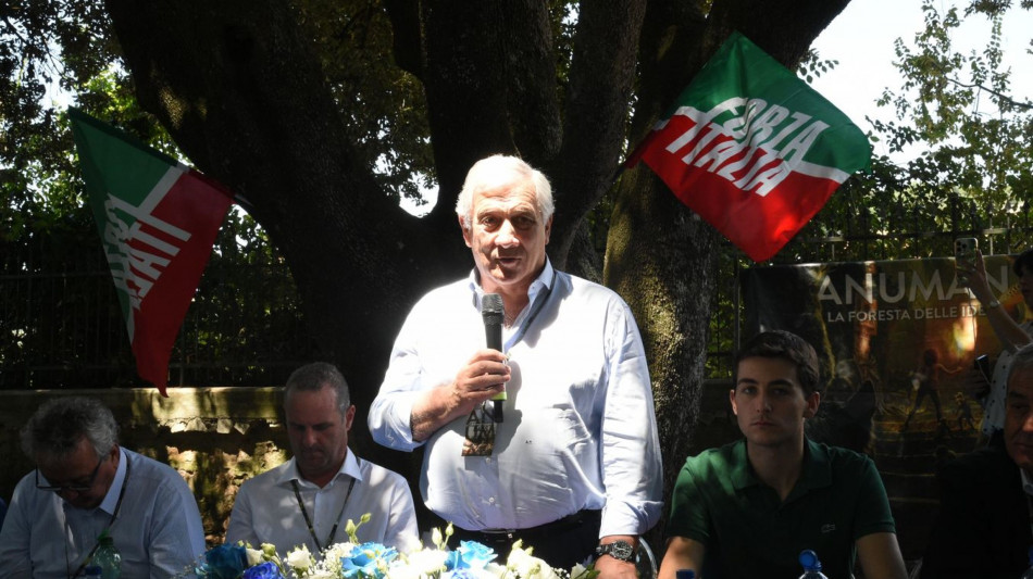 Tajani,ius Italiae in linea con programma,FdI era d'accordo