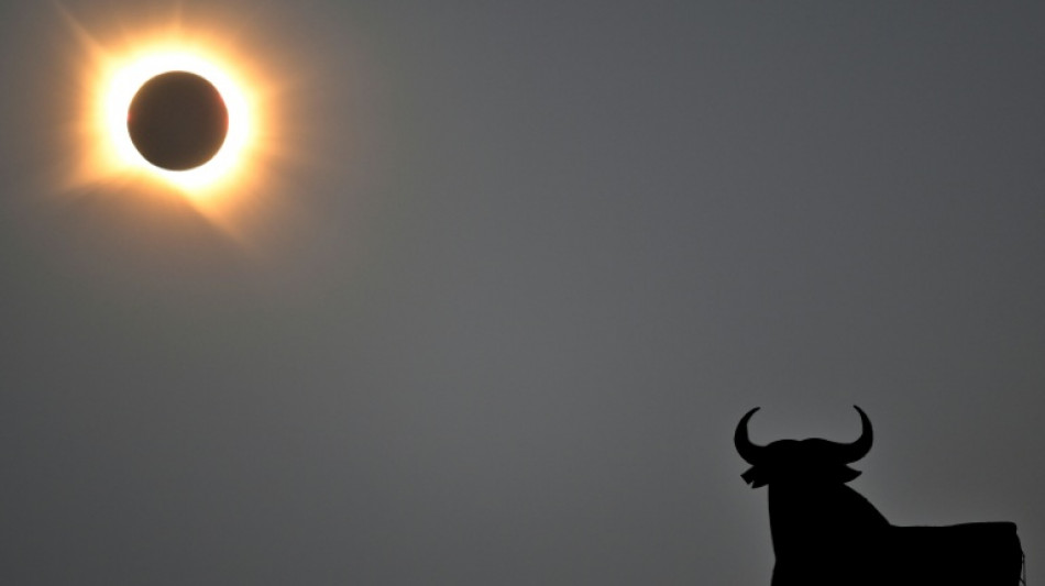  Totale Sonnenfinsternis macht in Spanien Tag zur Nacht - Begeisterung auch in Deutschland 