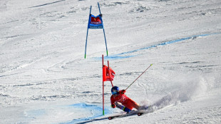 Ski alpin: Odermatt devant Pinturault apr&egrave;s la 1re manche du second g&eacute;ant de Kranjska Gora