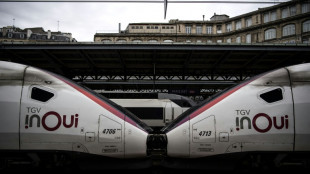 Chass&eacute;-crois&eacute; des vacances d'&eacute;t&eacute;: le jour le plus long pour la SNCF