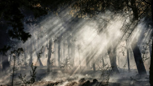 Gr&egrave;ce: l'&icirc;le de Chios, en proie &agrave; des incendies, plac&eacute;e en &eacute;tat d'urgence