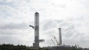 SpaceX gets US approval to launch more Starship flights from Texas