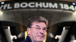 Hecking bleibt bei Klassenerhalt Trainer in Bochum