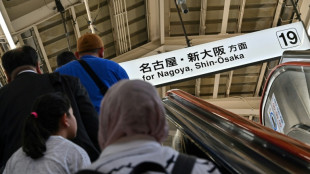 Una serpiente perturba el servicio de los trenes de alta velocidad en Japón