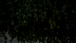 El banco suizo UBS pagará 835 millones de euros para evitar un nuevo juicio en Francia