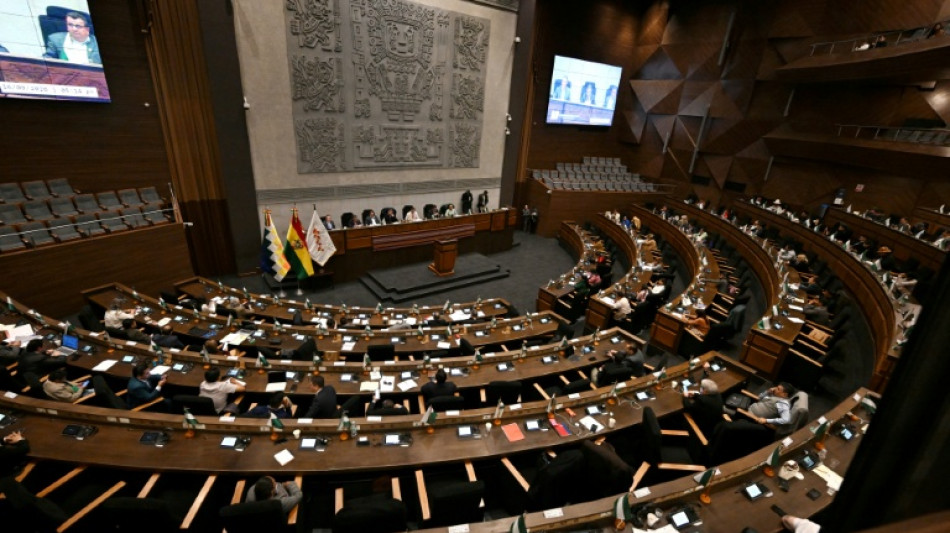  El Congreso de Bolivia aprueba un financiamiento de 1.900 millones de d&oacute;lares con el FMI 