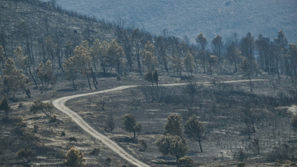  Des incendies toujours plus co&ucirc;teux pour les collectivit&eacute;s 
