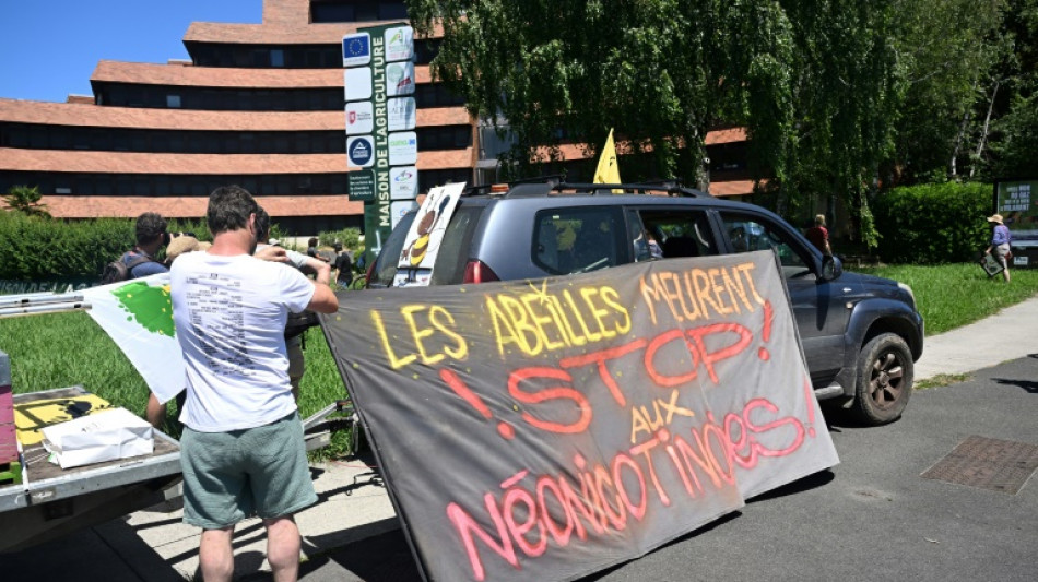 Loi Duplomb: des milliers d'opposants au texte mobilis&eacute;s ce weekend en France 