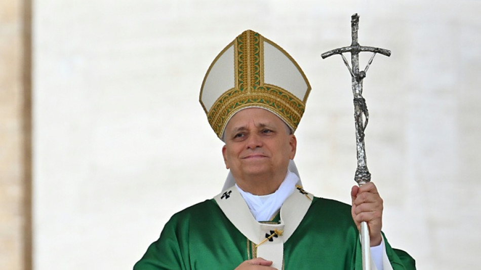 El papa Le&oacute;n XIV celebra "avances significativos" hacia la paz en Gaza