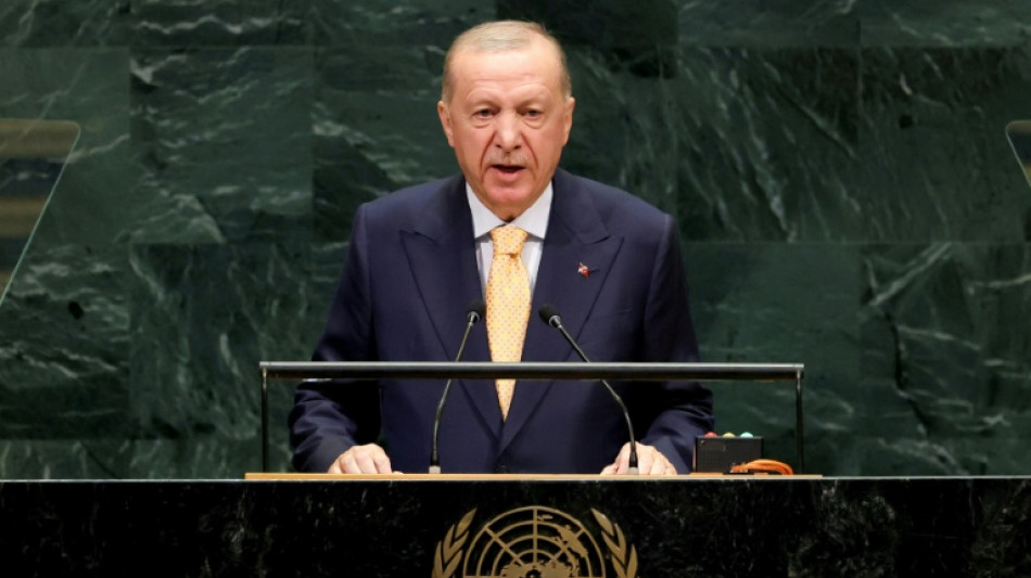  Erdogan: Welt muss unverz&uuml;glich mit Wiederaufbau des Gazastreifens beginnen 