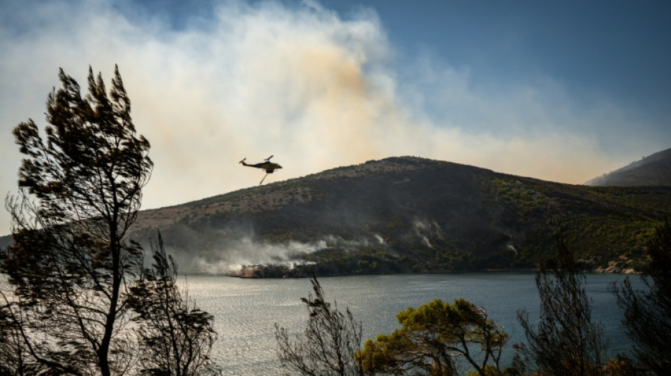  Drei Tote bei Waldbr&auml;nden auf griechischer Insel Salamis und in Spanien 
