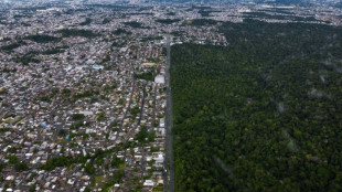 Crescimento verde renderia bilhões de reais ao Brasil, segundo estudo