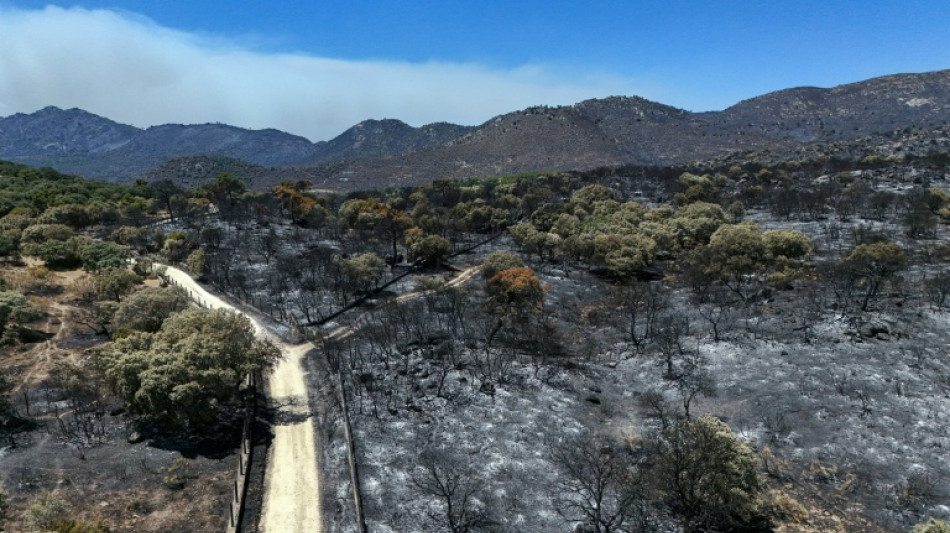  Incendies en Espagne: heures cruciales pr&egrave;s de Madrid avant un changement de m&eacute;t&eacute;o 