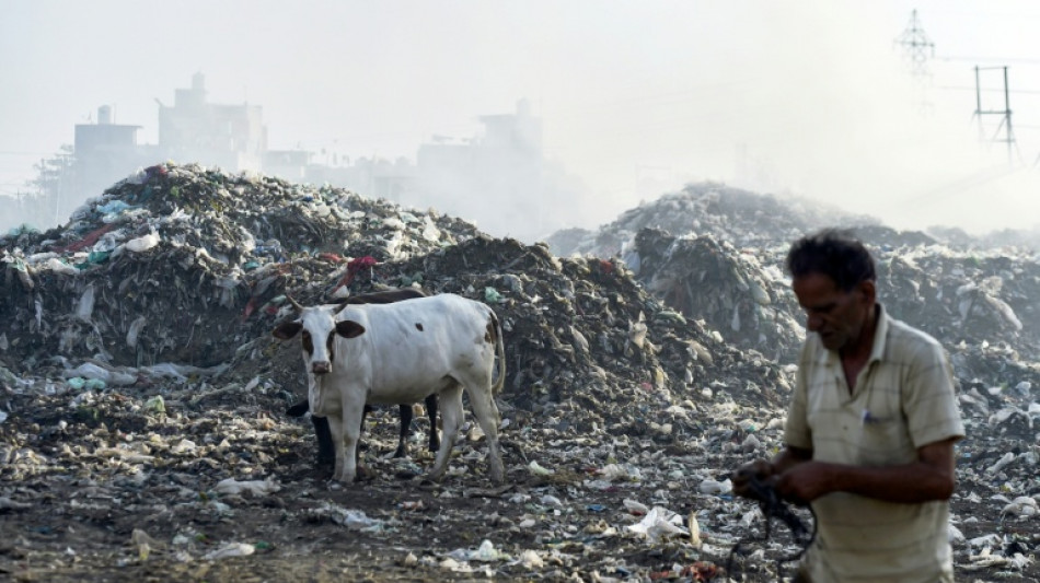 ONU pide "voz unida" de Latinoam&eacute;rica en negociaciones de tratado sobre pl&aacute;sticos