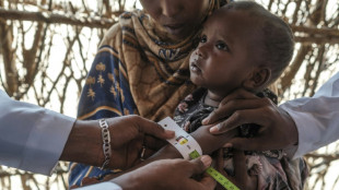 Fome segue aumentando no mundo, indica relatório da ONU