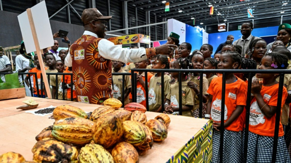 Cacao: le prix d'achat aux planteurs ivoiriens relev&eacute; de 22,2%, nouveau record