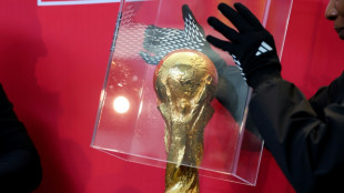 Mondial-2026: relancer la croissance gr&acirc;ce aux Bleus, un mirage persistant