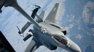 Berlin choisit des chasseurs F-35, en attendant l'avion de combat europ&eacute;en