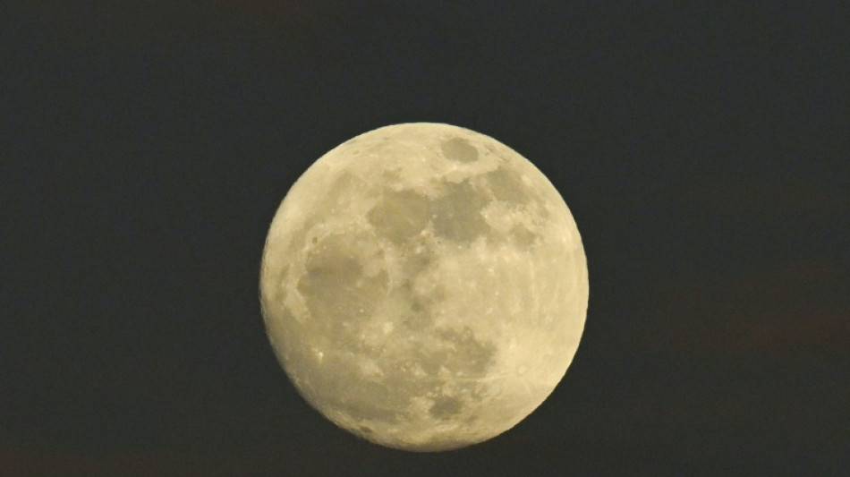 Des poissons sur la Lune? Une exp&eacute;rimentation "tr&egrave;s prometteuse"