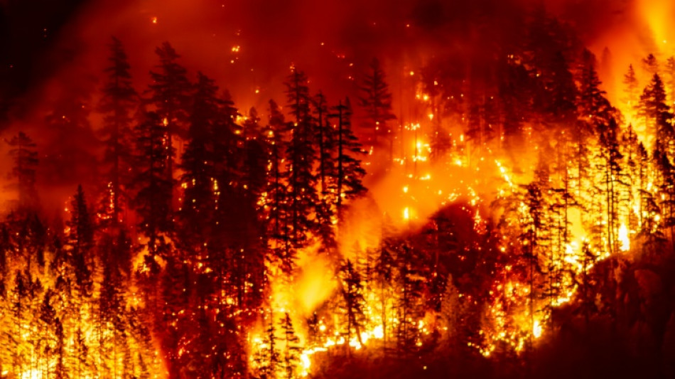 Les feux de forêt détériorent la qualité de l'air à des milliers de kilomètres, selon l'ONU 
