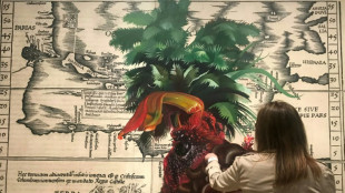 'Histórias escolhidas', arte latina chega ao Museu de Arte Moderna de Nova York