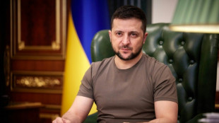 Pr&eacute;sidentielle: le Parlement attend le pr&eacute;sident Zelensky 
