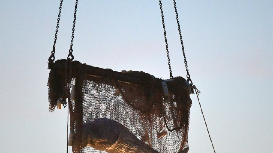 Ailing beluga put down as last-ditch French rescue bid fails