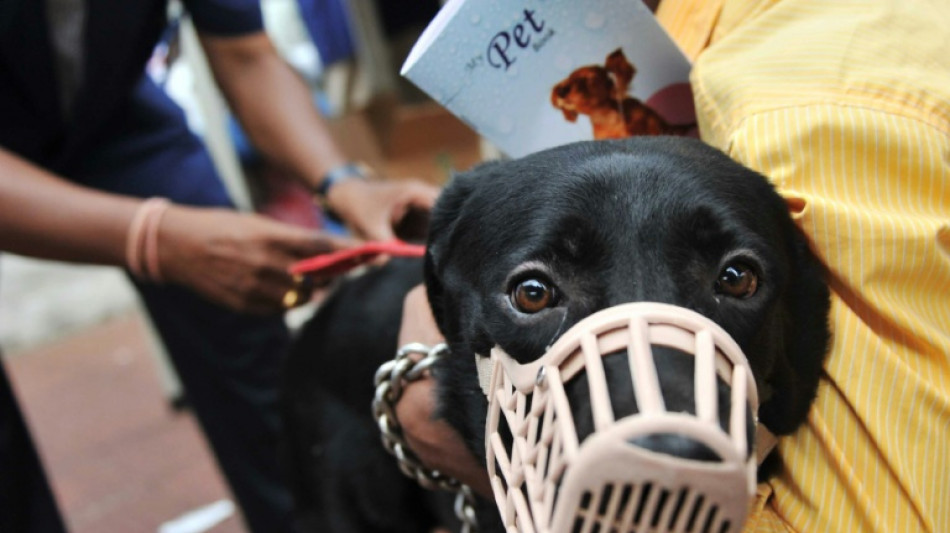  Rheinland-Pfalz: Hund gilt bei artgerechtem Abwehrverhalten nicht als gef&auml;hrlich 