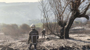Algeria, 119 incendi in 33 province, in azione anche i mezzi aerei