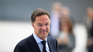 Rutte, 'europei e Canada spendono in media il 4% in sicurezza e difesa'