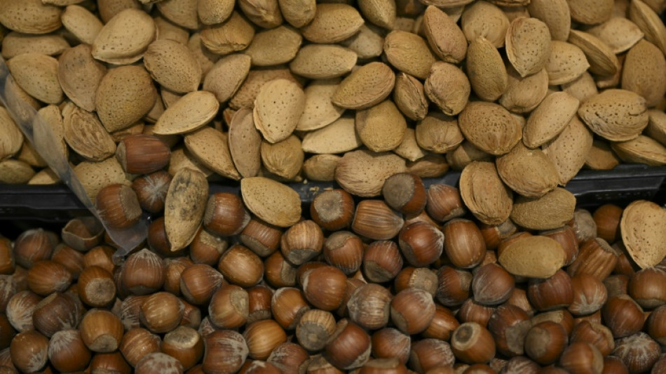 T&uuml;rkei stellt Ermittlungen gegen Ferrero wegen Haselnusspreisen ein 