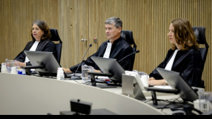 Lebenslange Haft für Mord an niederländischem Kriminalreporter de Vries gefordert